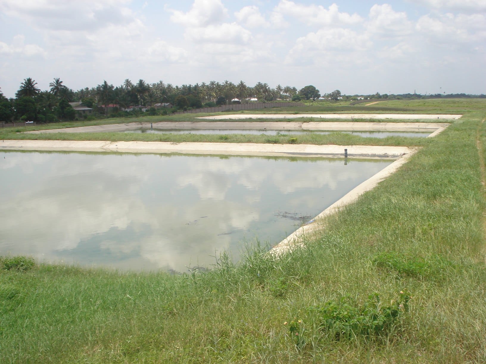 Wastewater treatment ponds