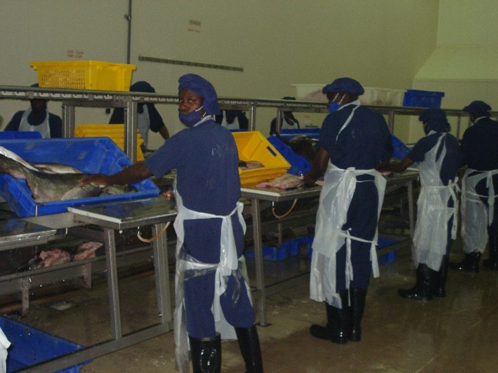Quality Management & Quality Assurance