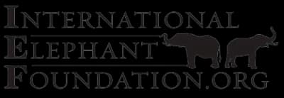 Elephant Conservation