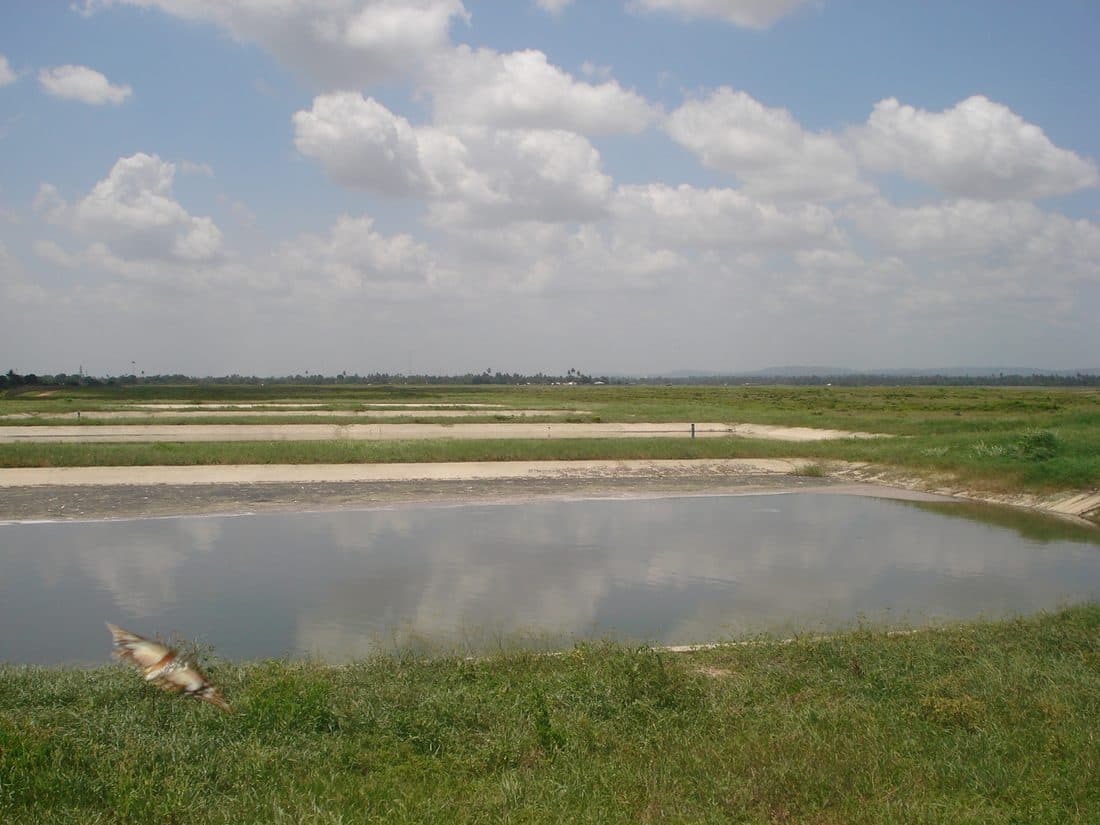 Lined wastewater stabilisation ponds