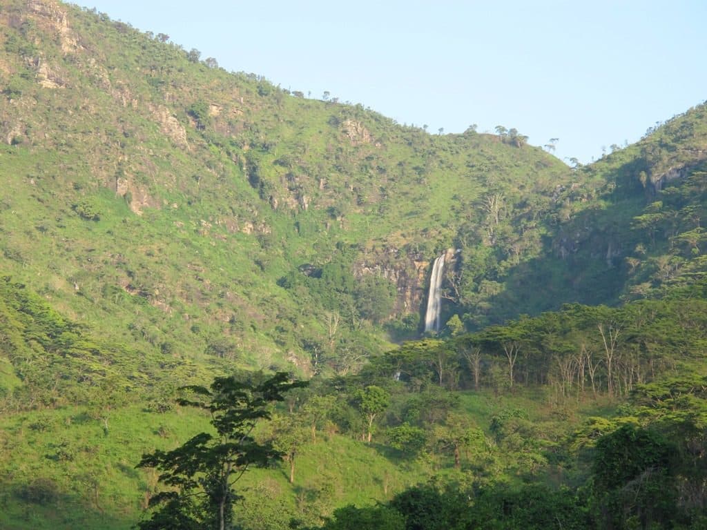 Forested valley with a waterfall