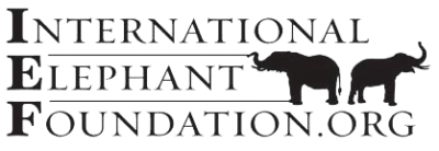 Elephant Conservation