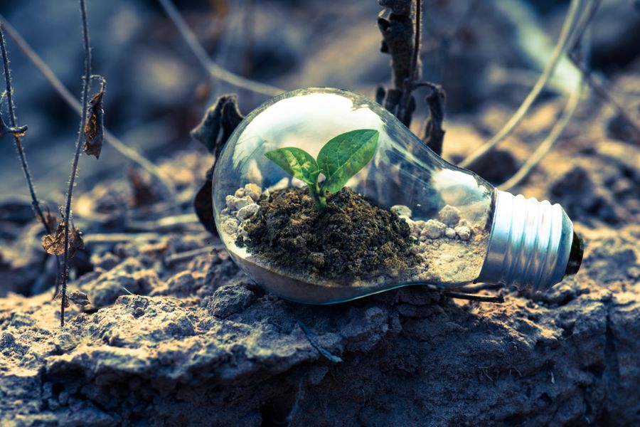 Environmental & Social Impact Assessment (ESIA)